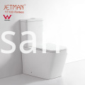 Inodoro de doble descarga sin borde Watermark Watermark Rimless Dual Flushing Toilet